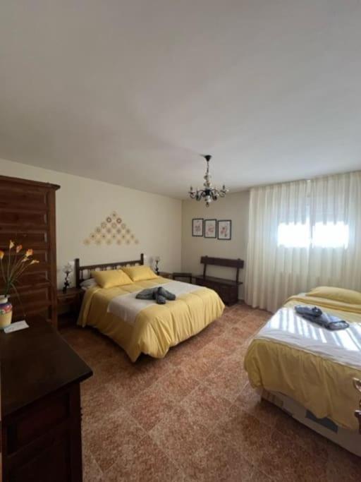 Cobisa Casa Rural Brisa De Toledo מראה חיצוני תמונה